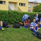 Piknik europejski